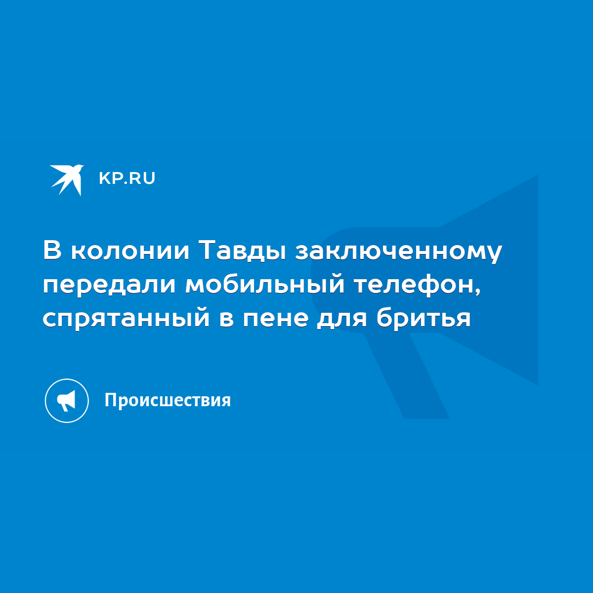 В колонии Тавды заключенному передали мобильный телефон, спрятанный в пене  для бритья - KP.RU