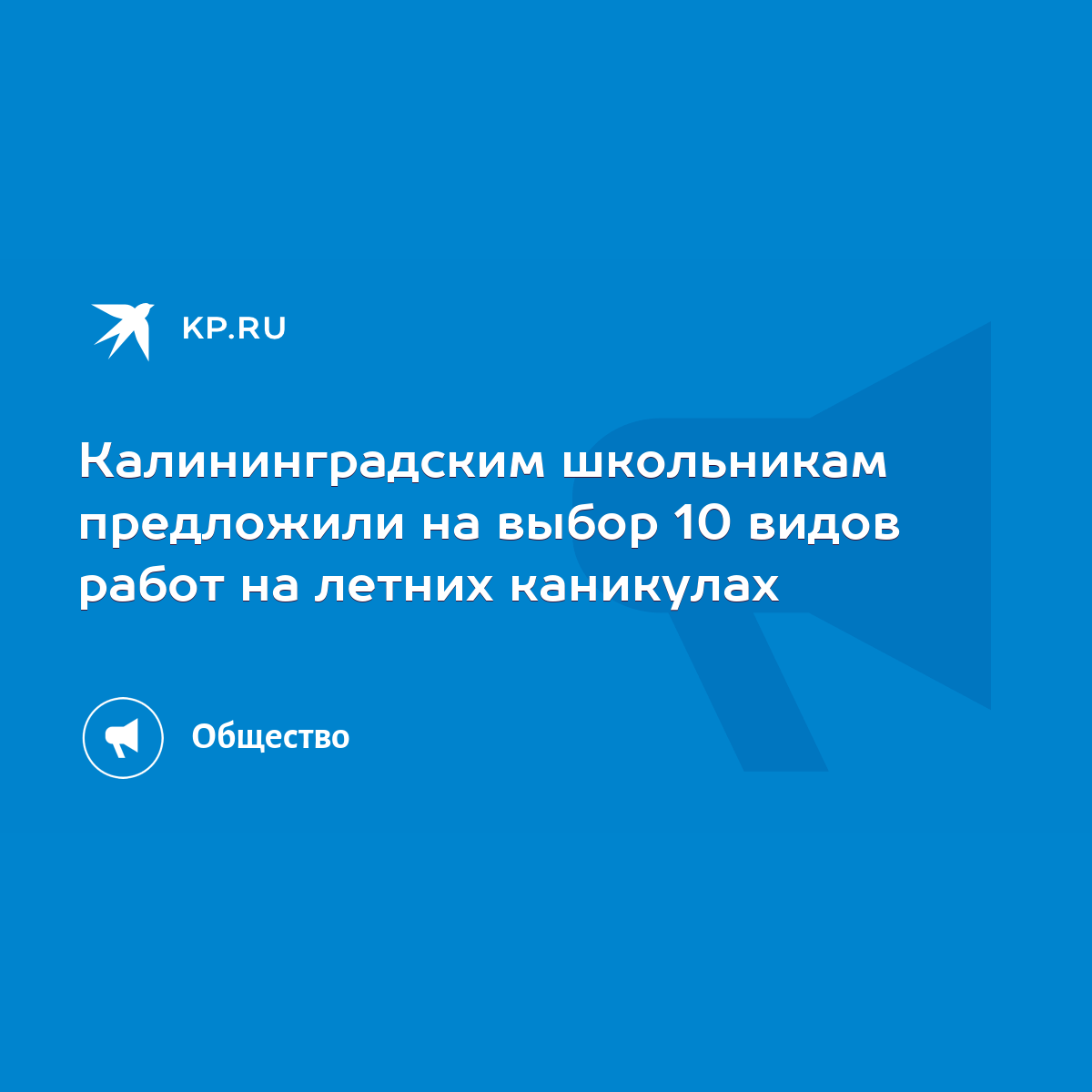 Калининградским школьникам предложили на выбор 10 видов работ на летних  каникулах - KP.RU