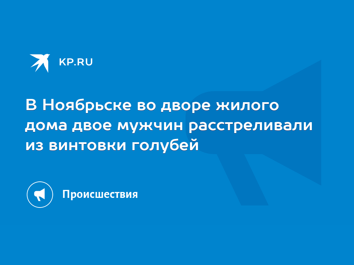 В Ноябрьске во дворе жилого дома двое мужчин расстреливали из винтовки  голубей - KP.RU