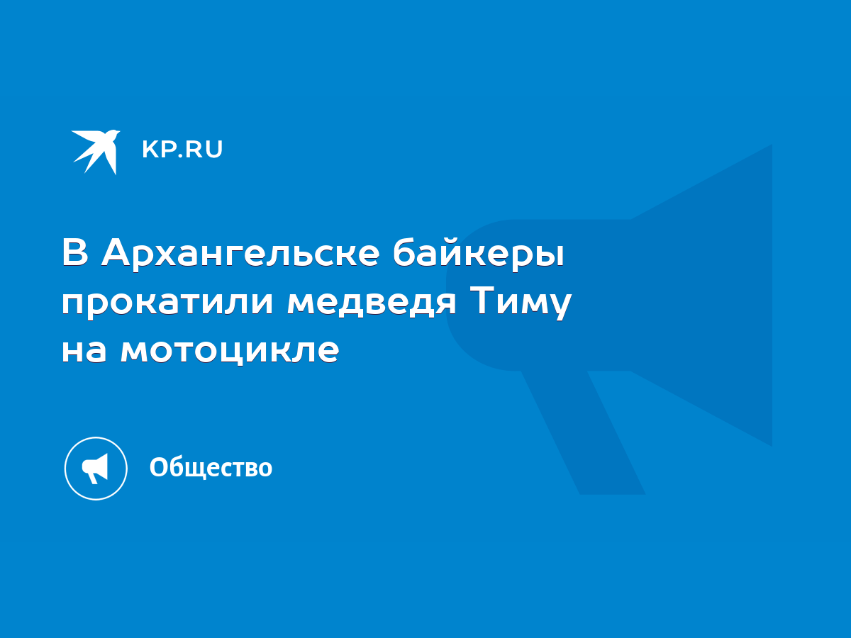 В Архангельске байкеры прокатили медведя Тиму на мотоцикле - KP.RU