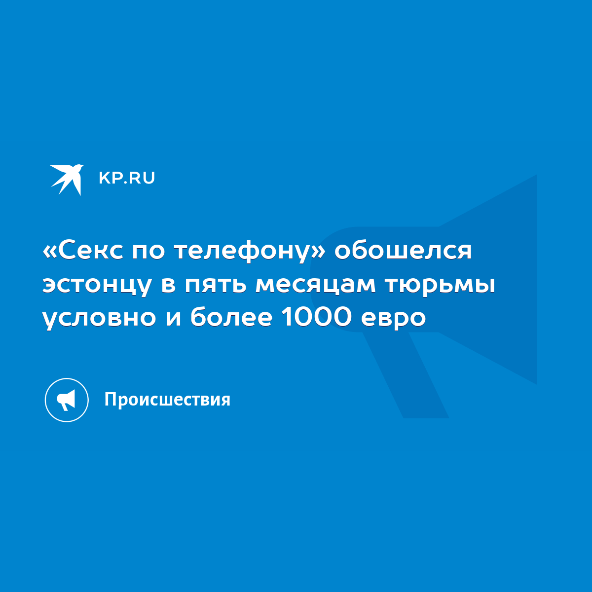 Секс по телефону» обошелся эстонцу в пять месяцам тюрьмы условно и более  1000 евро - KP.RU