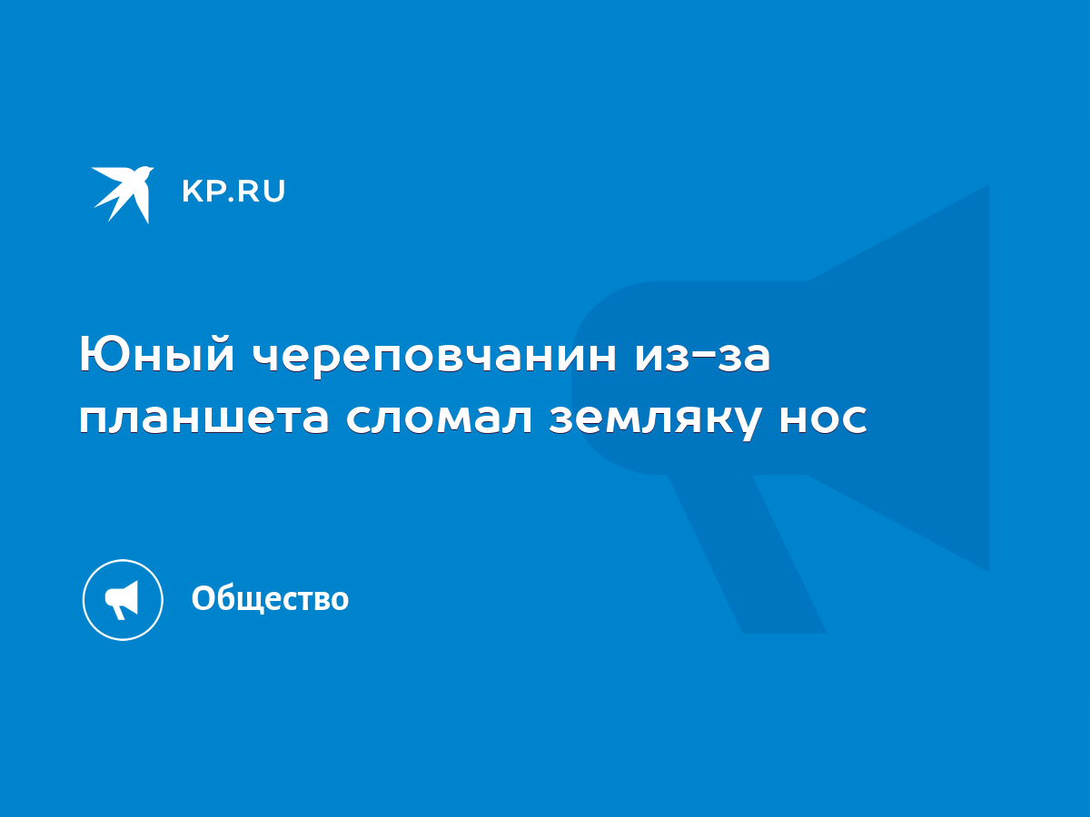 Юный череповчанин из-за планшета сломал земляку нос - KP.RU