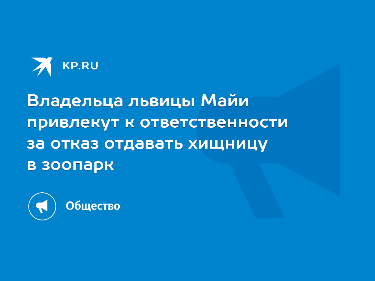 Владельца львицы Майи привлекут к ответственности за отказ отдавать хищницу  в зоопарк - KP.RU