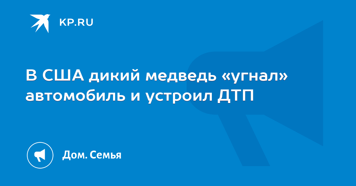 Медведь угнал автомобиль