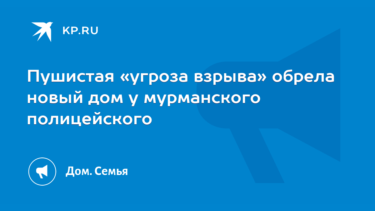 Пушистая «угроза взрыва» обрела новый дом у мурманского полицейского - KP.RU