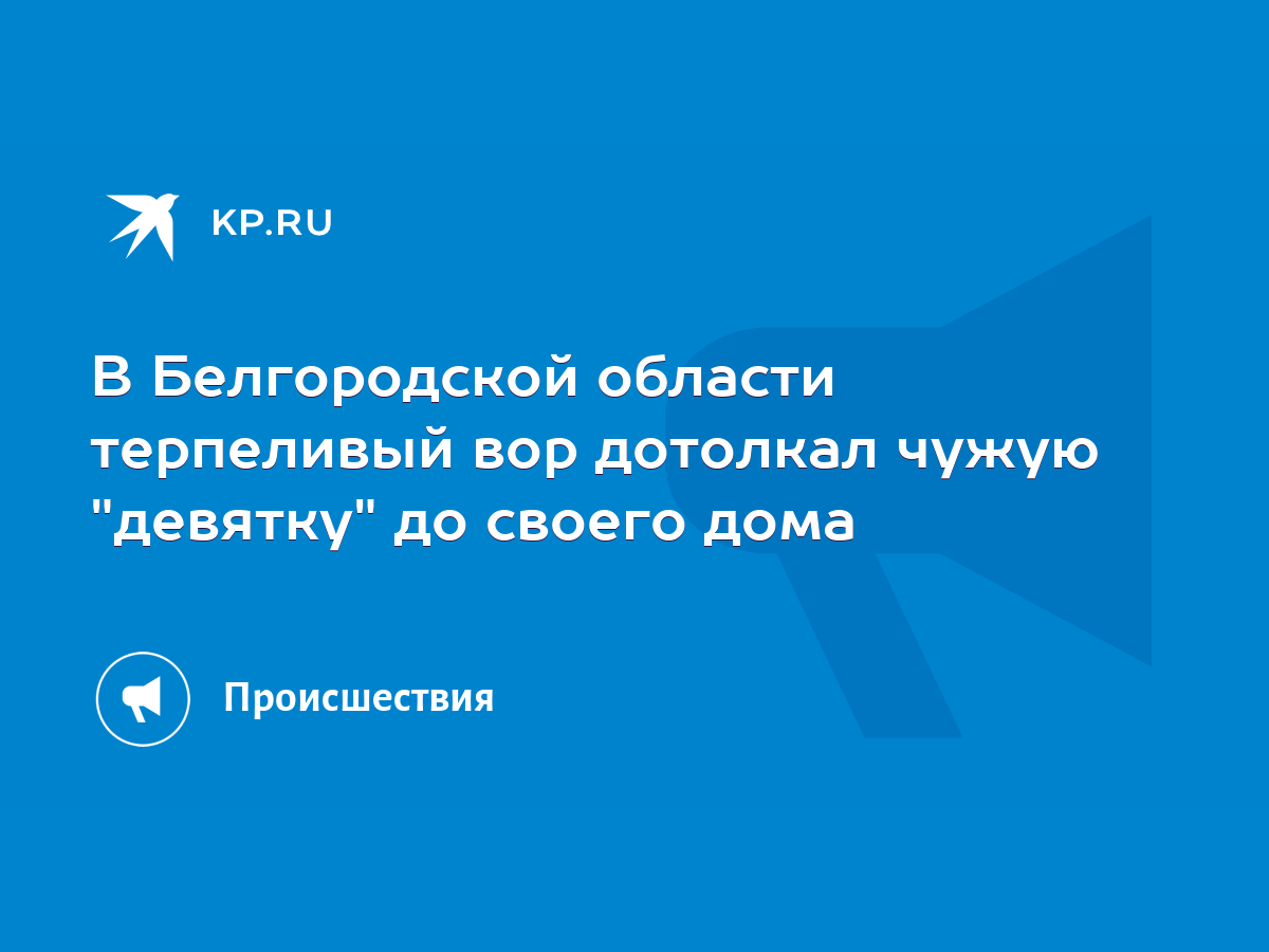 В Белгородской области терпеливый вор дотолкал чужую 