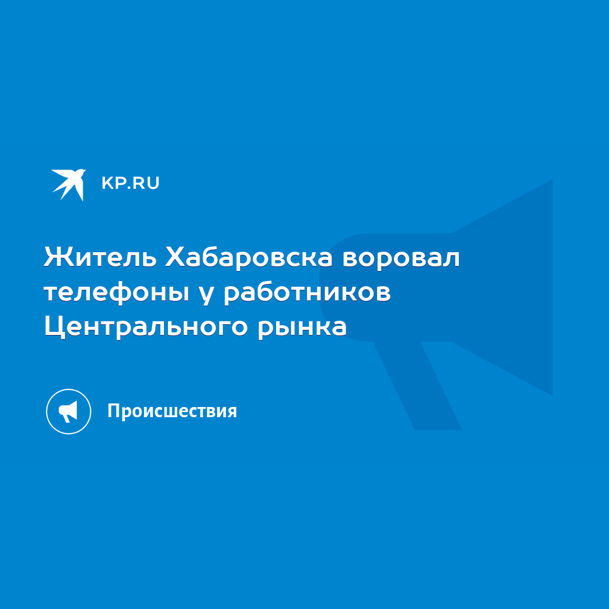 Житель Хабаровска воровал телефоны у работников Центрального рынка - KP.RU