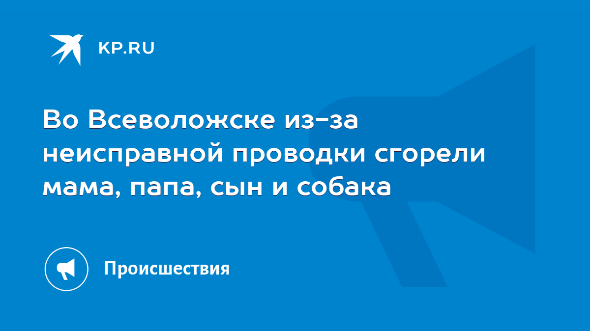 Во Всеволожске из-за неисправной проводки сгорели мама, папа, сын и собака  - KP.RU