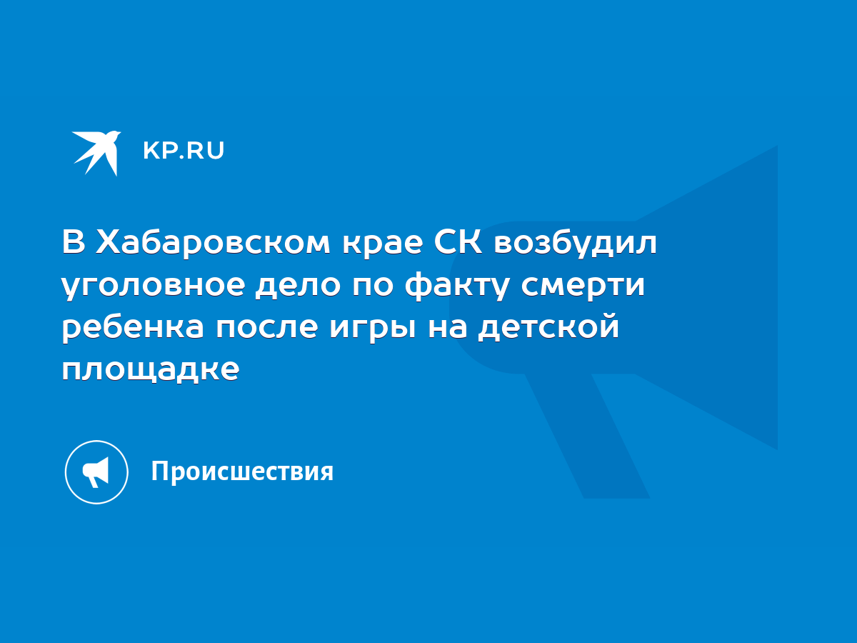 В Хабаровском крае СК возбудил уголовное дело по факту смерти ребенка после  игры на детской площадке - KP.RU