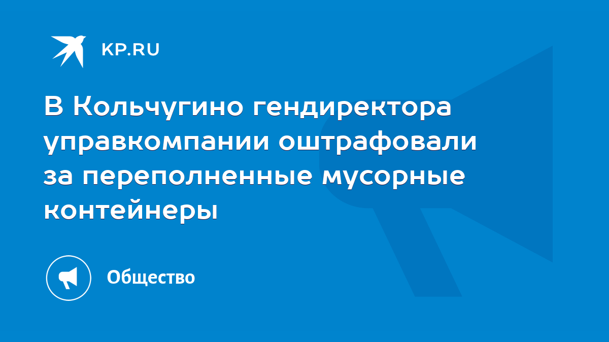 В Кольчугино гендиректора управкомпании оштрафовали за переполненные  мусорные контейнеры - KP.RU