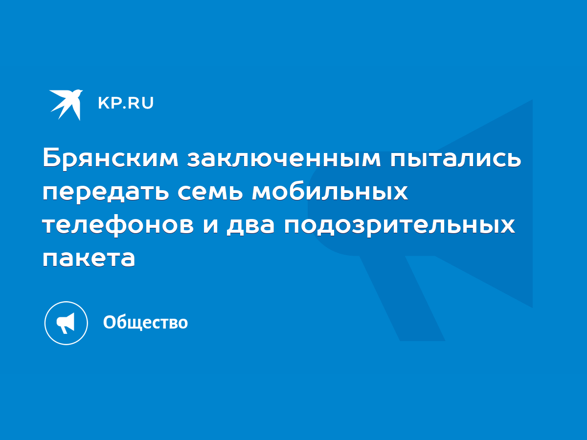 Брянским заключенным пытались передать семь мобильных телефонов и два  подозрительных пакета - KP.RU