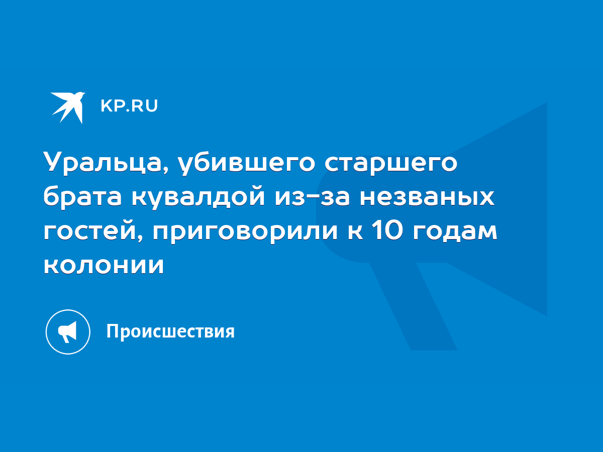 Уральца, убившего старшего брата кувалдой из-за незваных гостей,  приговорили к 10 годам колонии - KP.RU