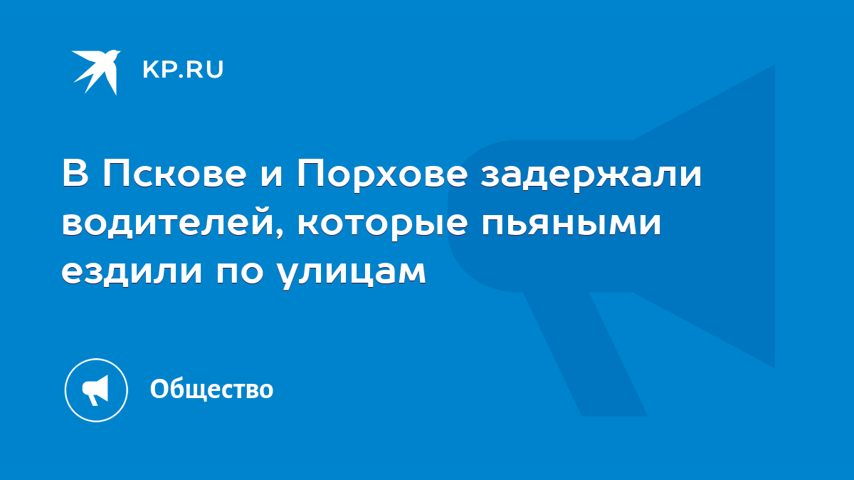 В Пскове и Порхове задержали водителей, которые пьяными ездили по улицам -  KP.RU