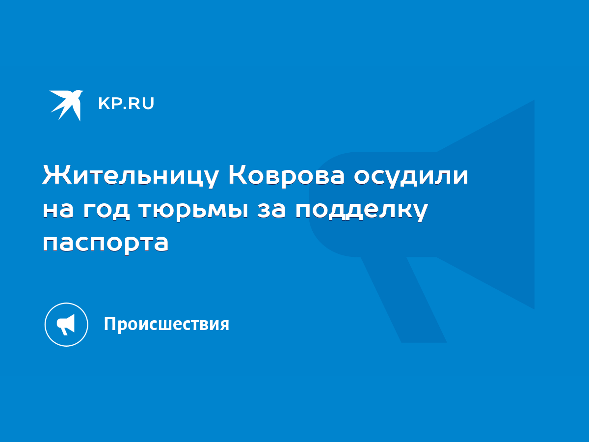 Жительницу Коврова осудили на год тюрьмы за подделку паспорта - KP.RU