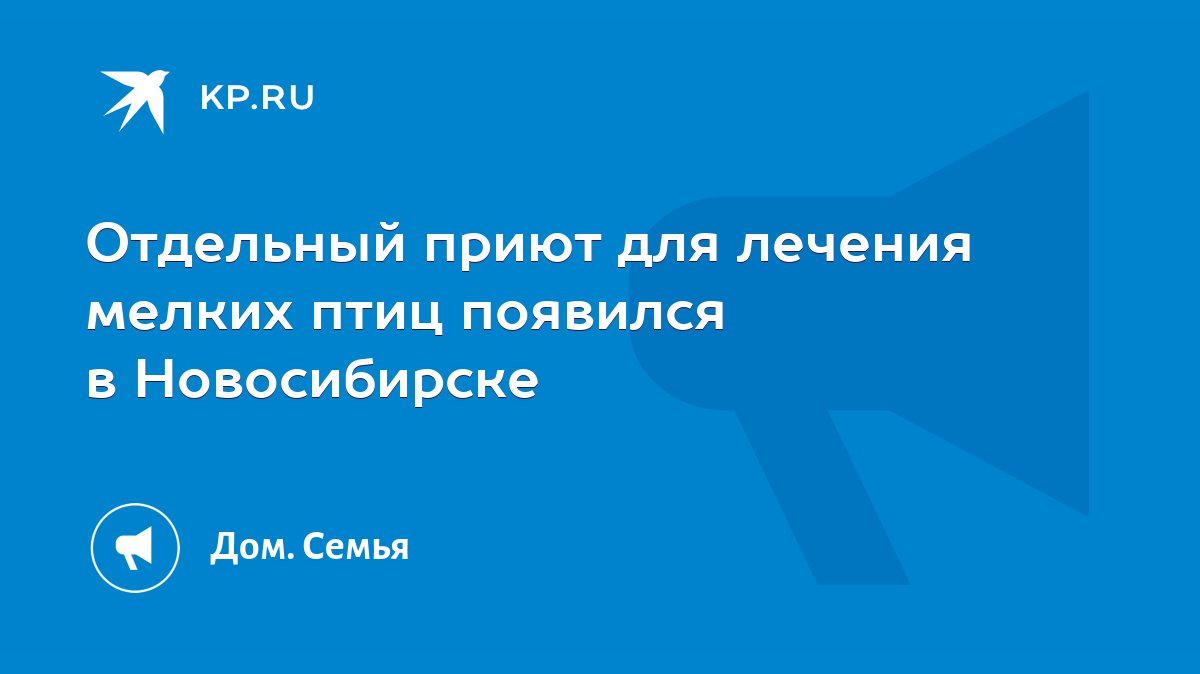 Отдельный приют для лечения мелких птиц появился в Новосибирске - KP.RU