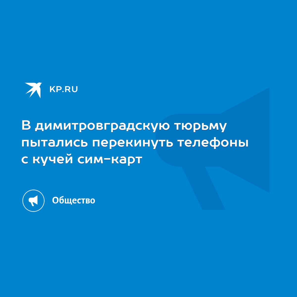 В димитровградскую тюрьму пытались перекинуть телефоны с кучей сим-карт -  KP.RU