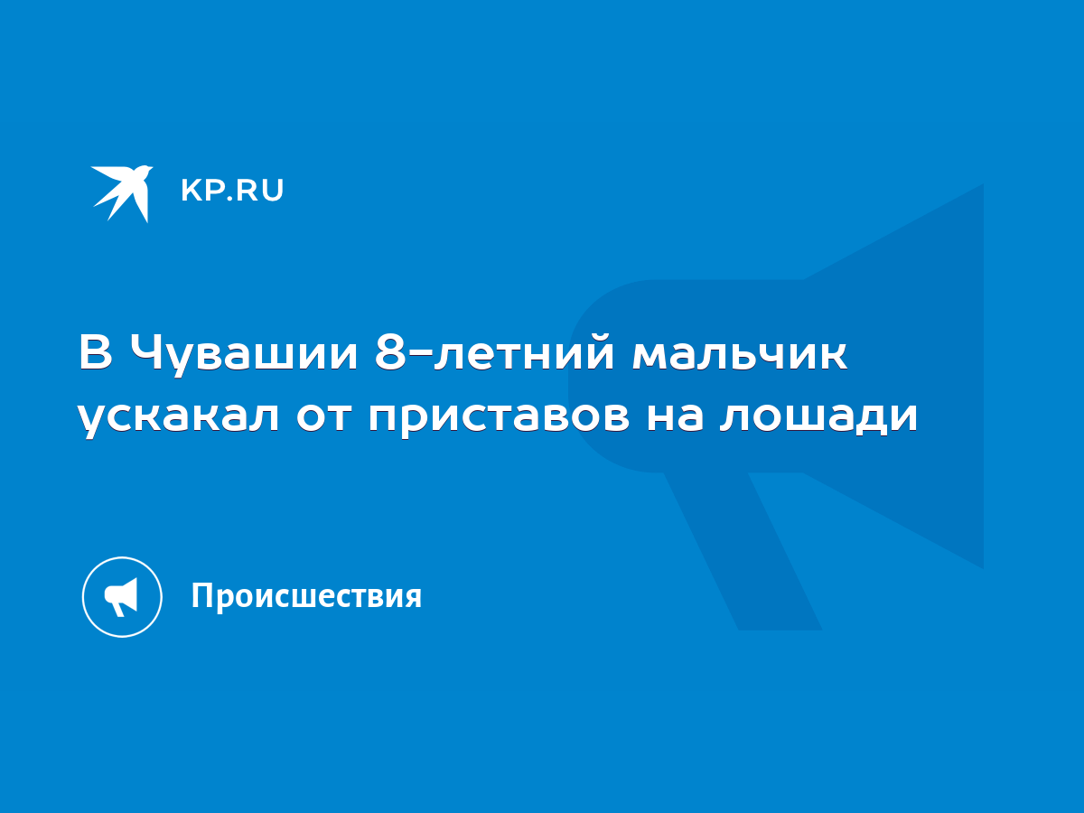 В Чувашии 8-летний мальчик ускакал от приставов на лошади - KP.RU