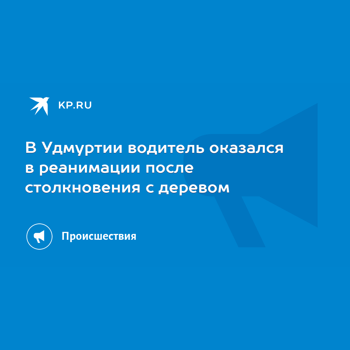 В Удмуртии водитель оказался в реанимации после столкновения с деревом -  KP.RU