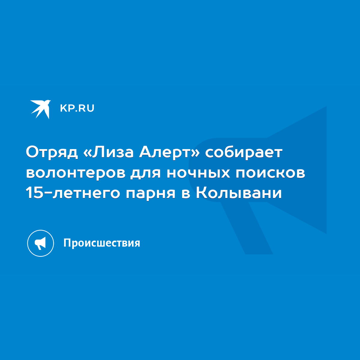 Отряд «Лиза Алерт» собирает волонтеров для ночных поисков 15-летнего парня  в Колывани - KP.RU