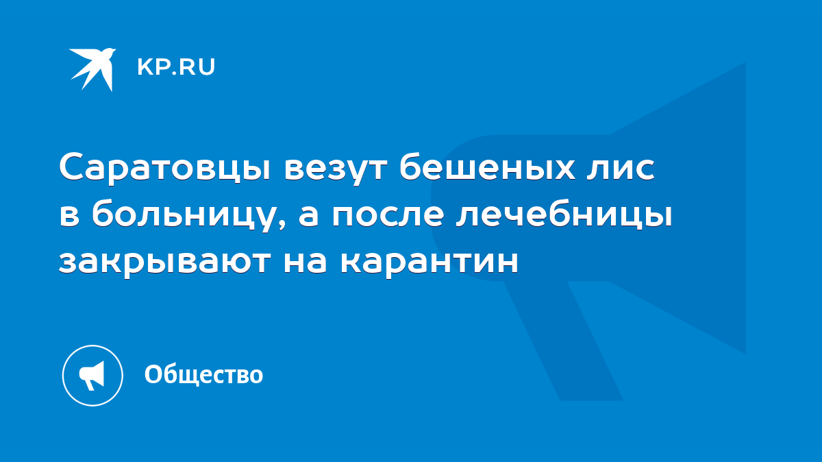 Саратовцы везут бешеных лис в больницу, а после лечебницы закрывают на  карантин - KP.RU