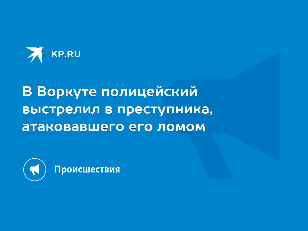 В Воркуте полицейский выстрелил в преступника, атаковавшего его ломом -  KP.RU