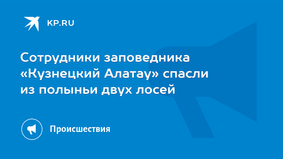 Сотрудники заповедника «Кузнецкий Алатау» спасли из полыньи двух лосей -  KP.RU