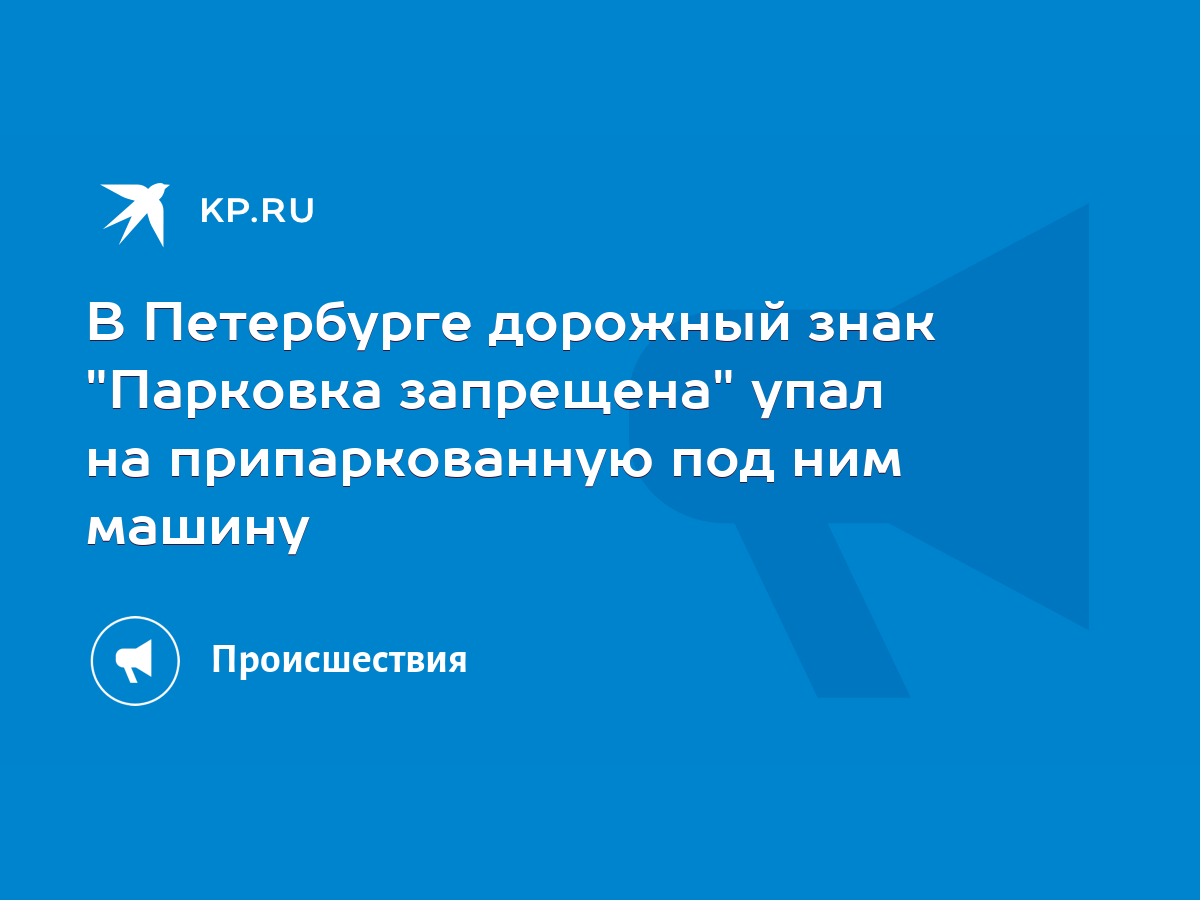 В Петербурге дорожный знак 