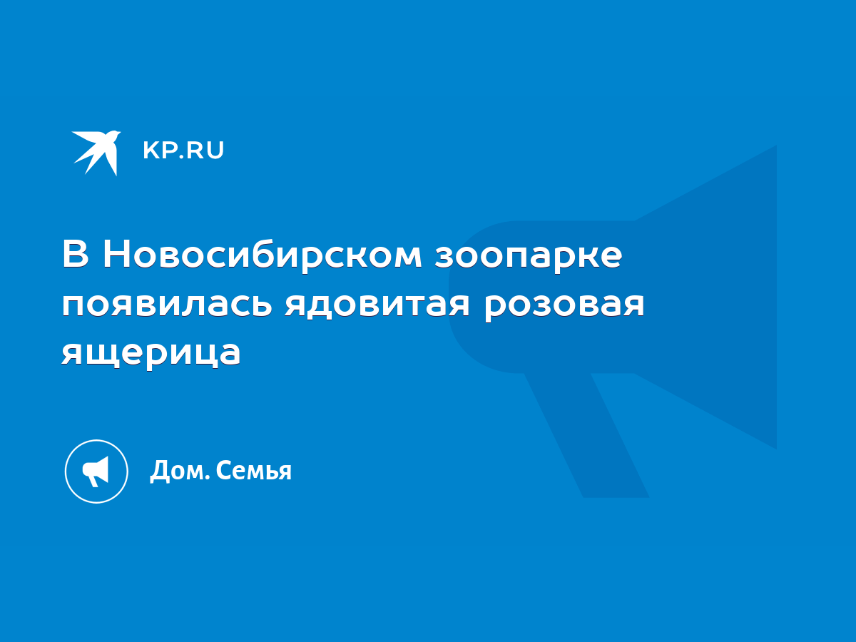 В Новосибирском зоопарке появилась ядовитая розовая ящерица - KP.RU