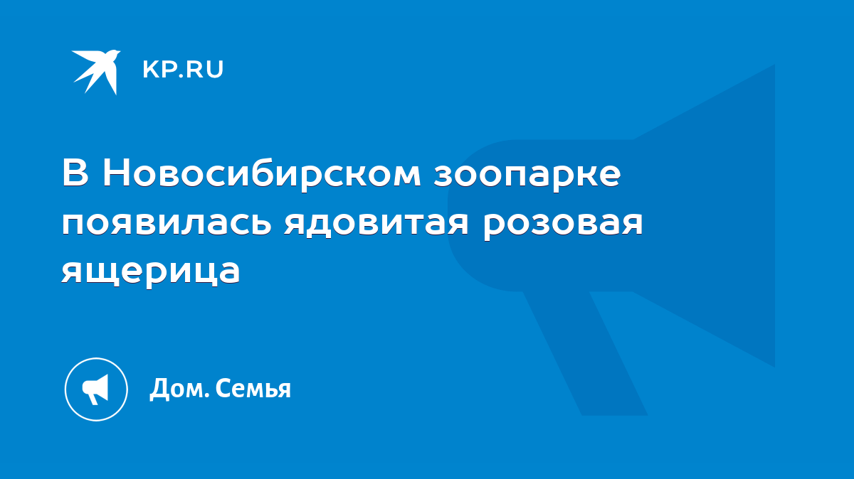 В Новосибирском зоопарке появилась ядовитая розовая ящерица - KP.RU