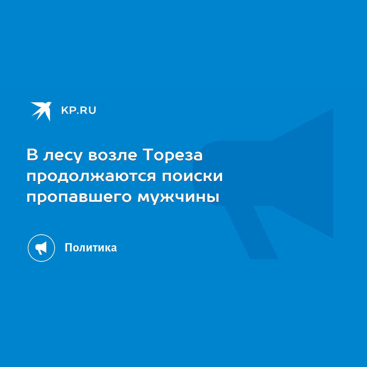 В лесу возле Тореза продолжаются поиски пропавшего мужчины - KP.RU