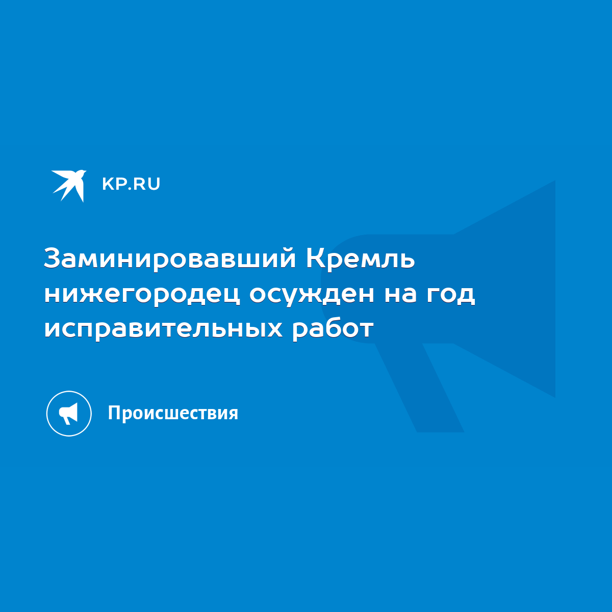 Заминировавший Кремль нижегородец осужден на год исправительных работ -  KP.RU