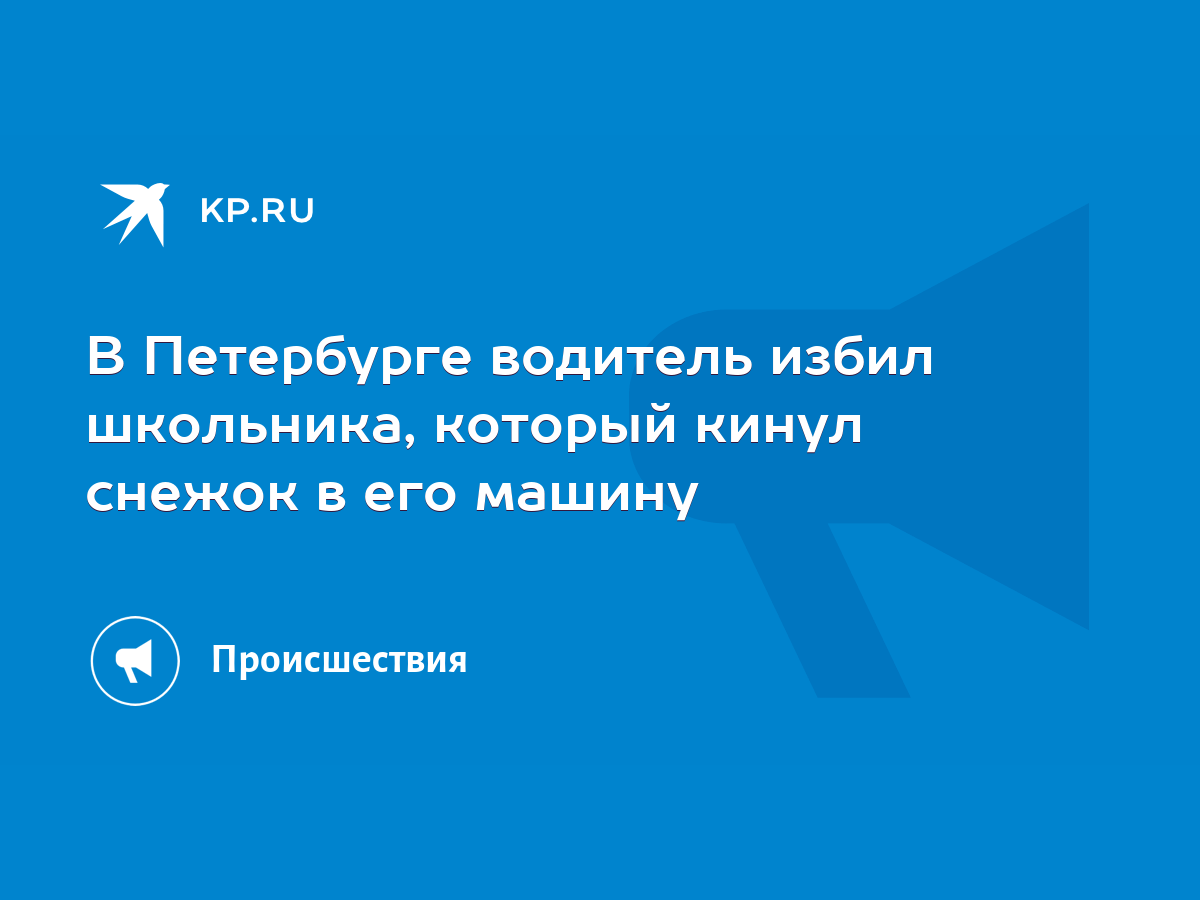 В Петербурге водитель избил школьника, который кинул снежок в его машину -  KP.RU