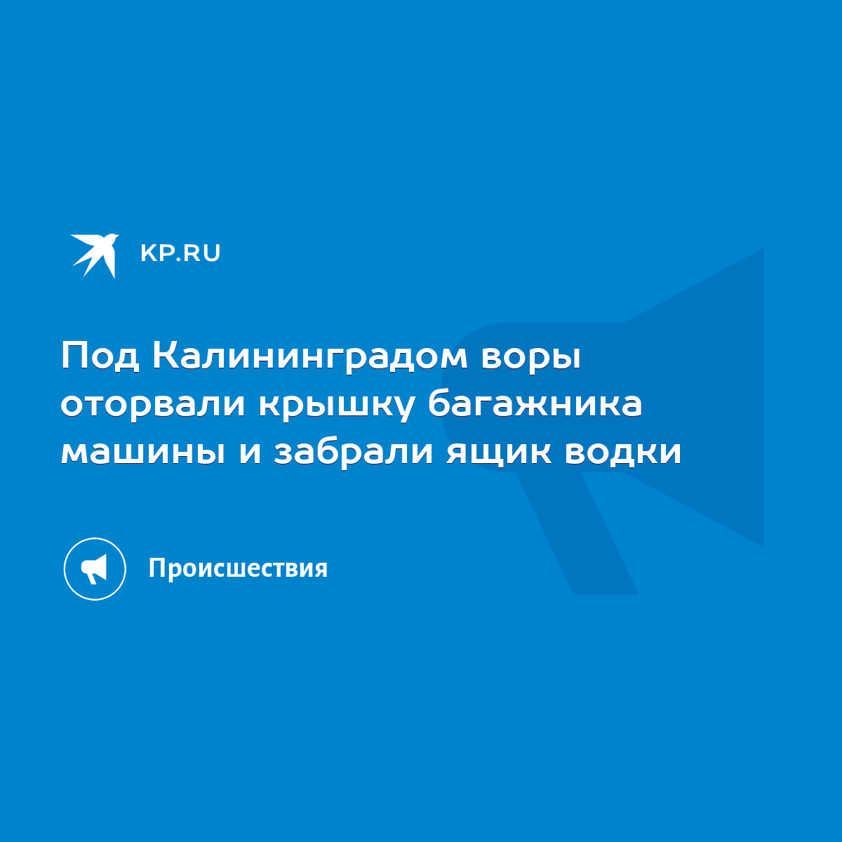 Под Калининградом воры оторвали крышку багажника машины и забрали ящик водки  - KP.RU