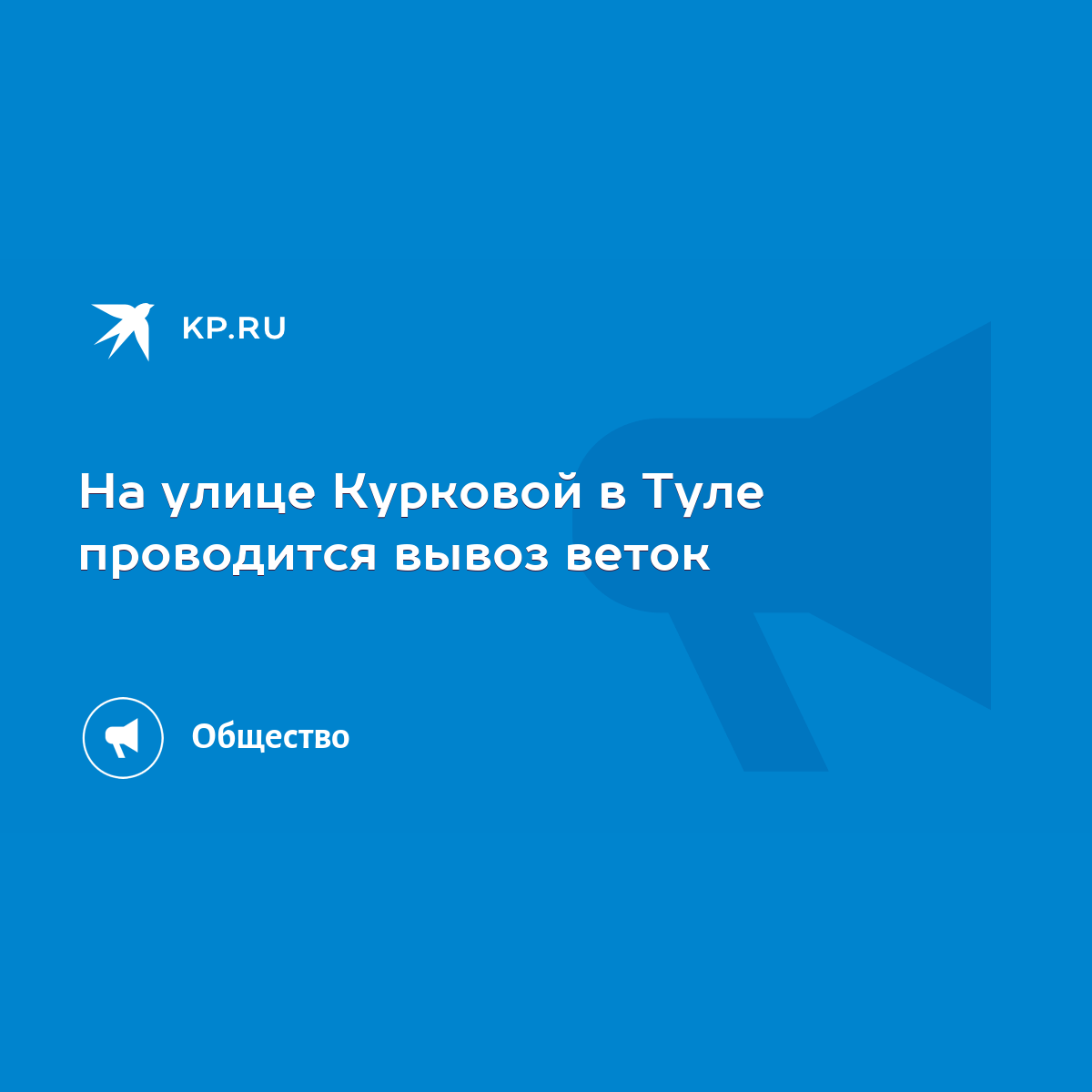 На улице Курковой в Туле проводится вывоз веток - KP.RU