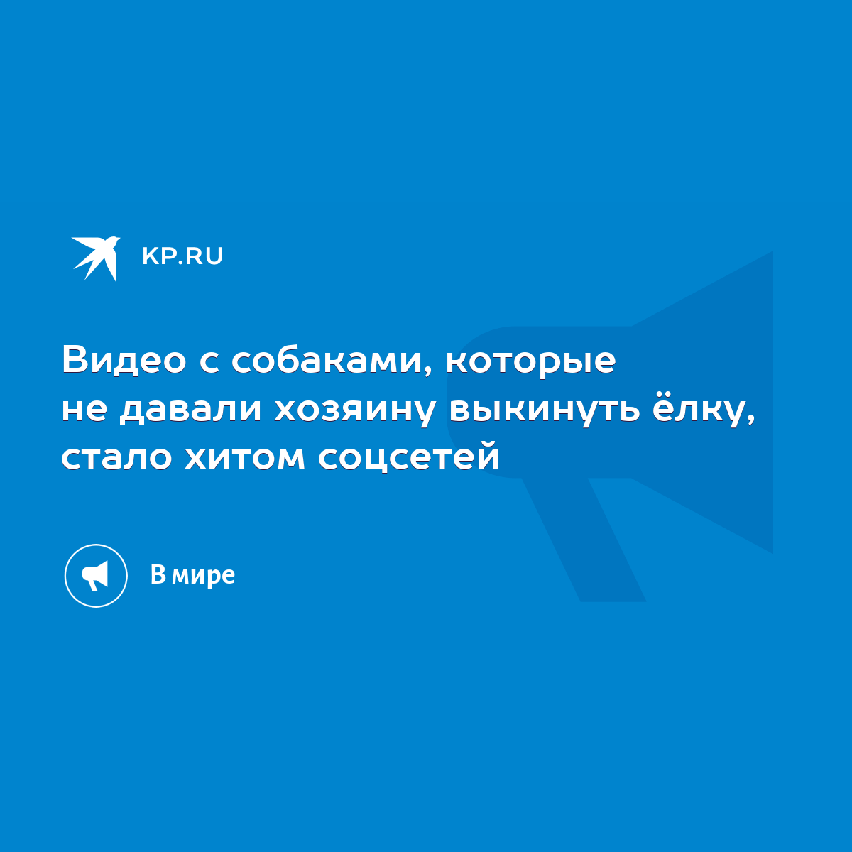 Видео с собаками, которые не давали хозяину выкинуть ёлку, стало хитом  соцсетей - KP.RU