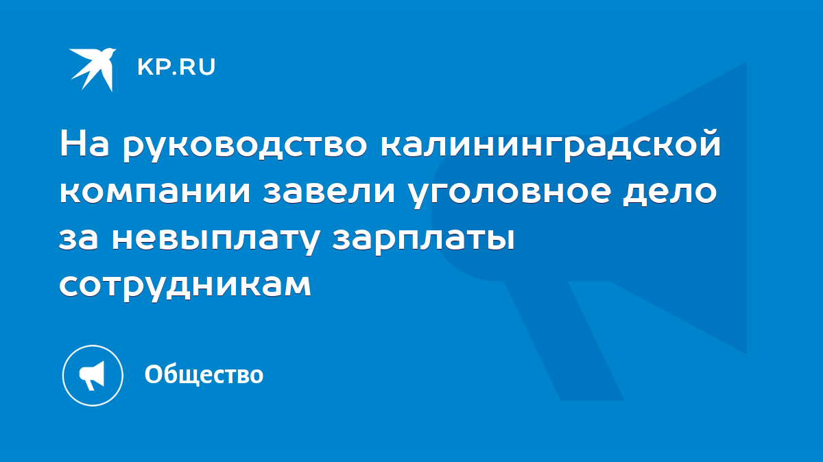 На руководство калининградской компании завели уголовное дело за невыплату  зарплаты сотрудникам - KP.RU