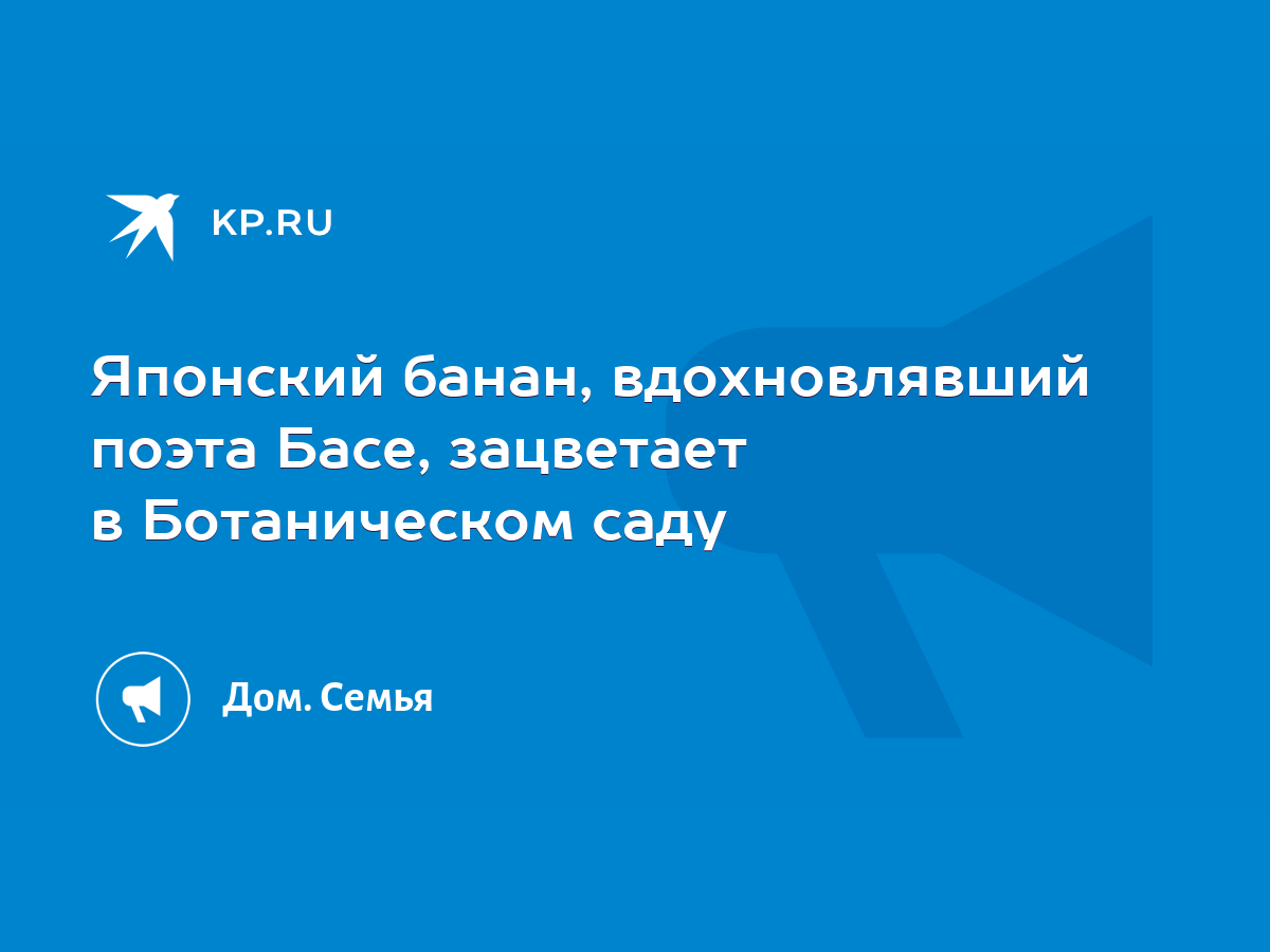 Японский банан, вдохновлявший поэта Басе, зацветает в Ботаническом саду -  KP.RU