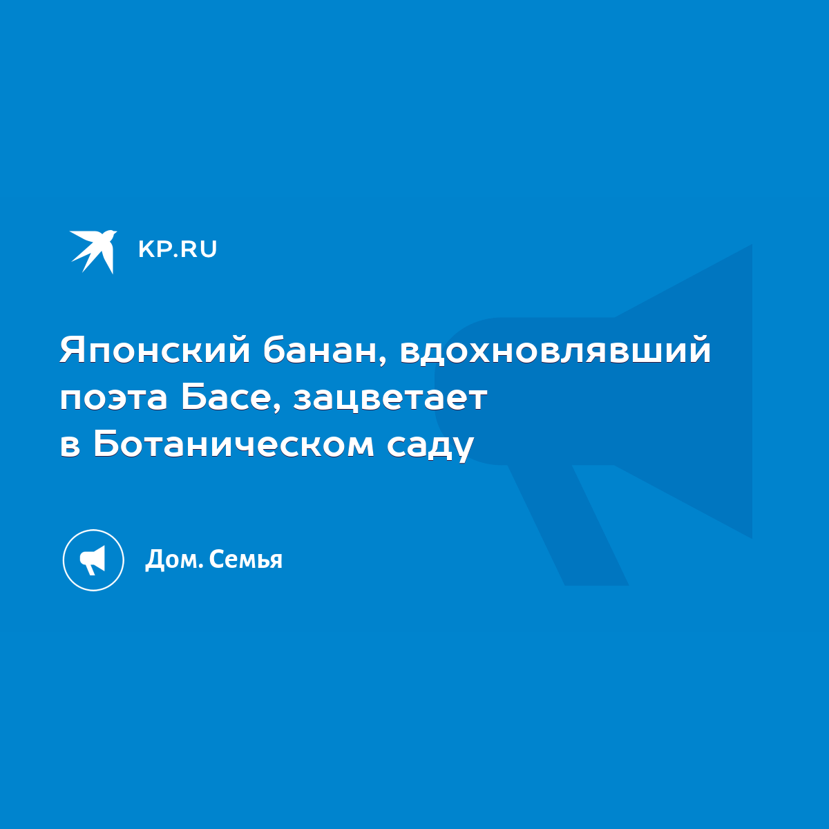 Японский банан, вдохновлявший поэта Басе, зацветает в Ботаническом саду -  KP.RU