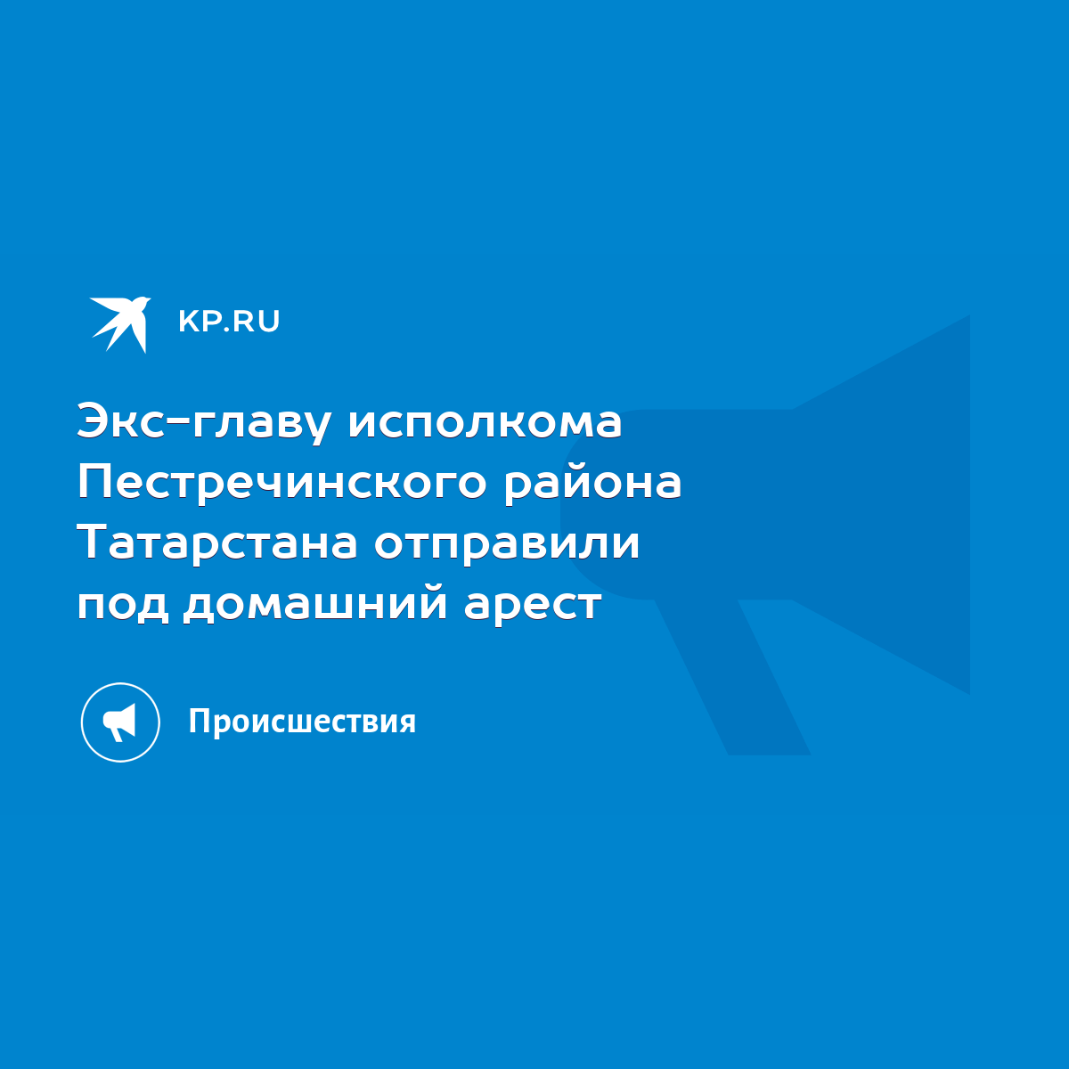 Экс-главу исполкома Пестречинского района Татарстана отправили под домашний  арест - KP.RU