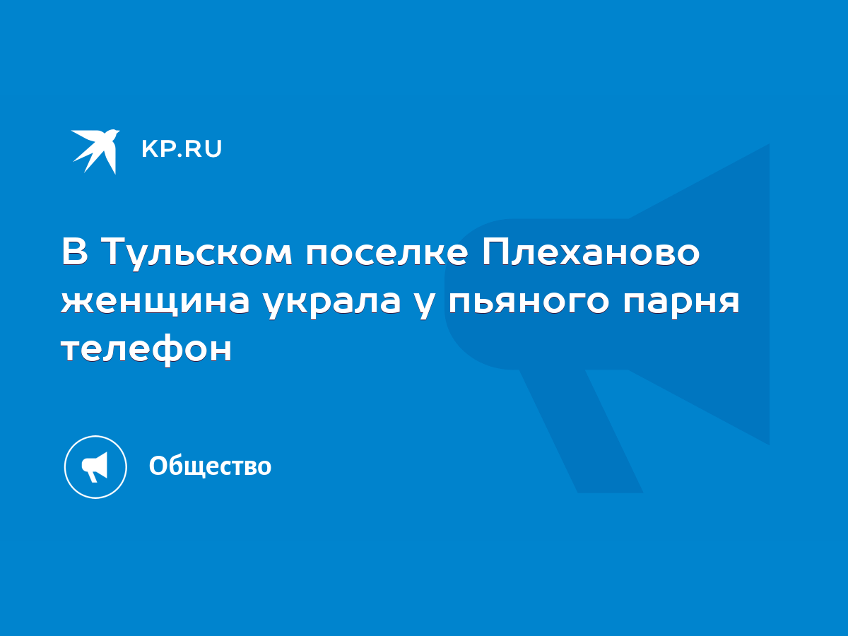 В Тульском поселке Плеханово женщина украла у пьяного парня телефон - KP.RU