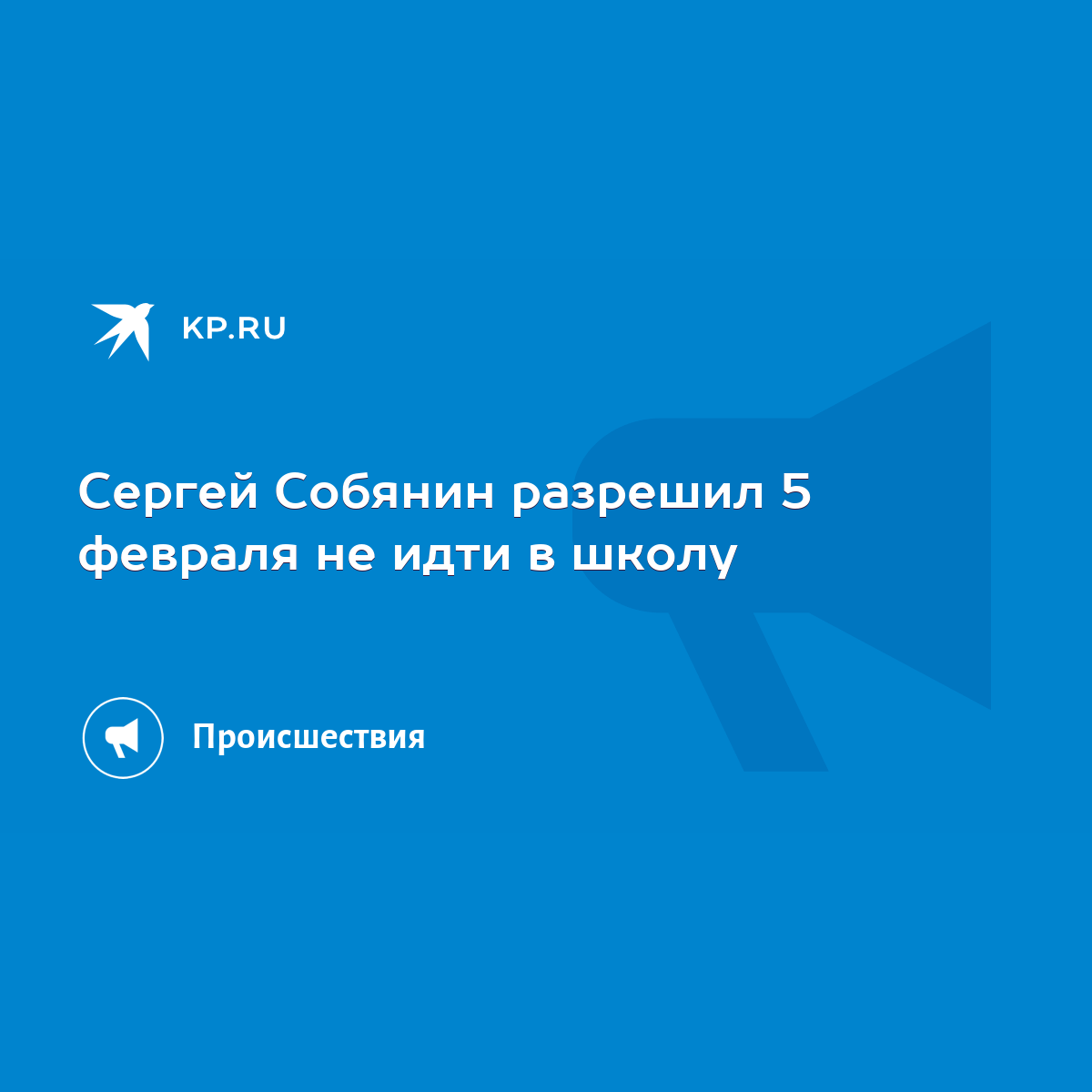 Сергей Собянин разрешил 5 февраля не идти в школу - KP.RU