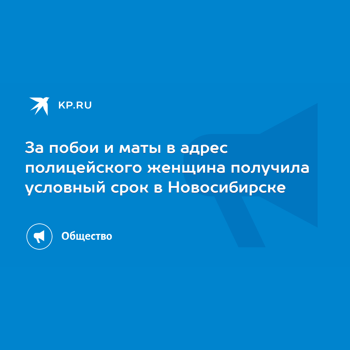 За побои и маты в адрес полицейского женщина получила условный срок в  Новосибирске - KP.RU