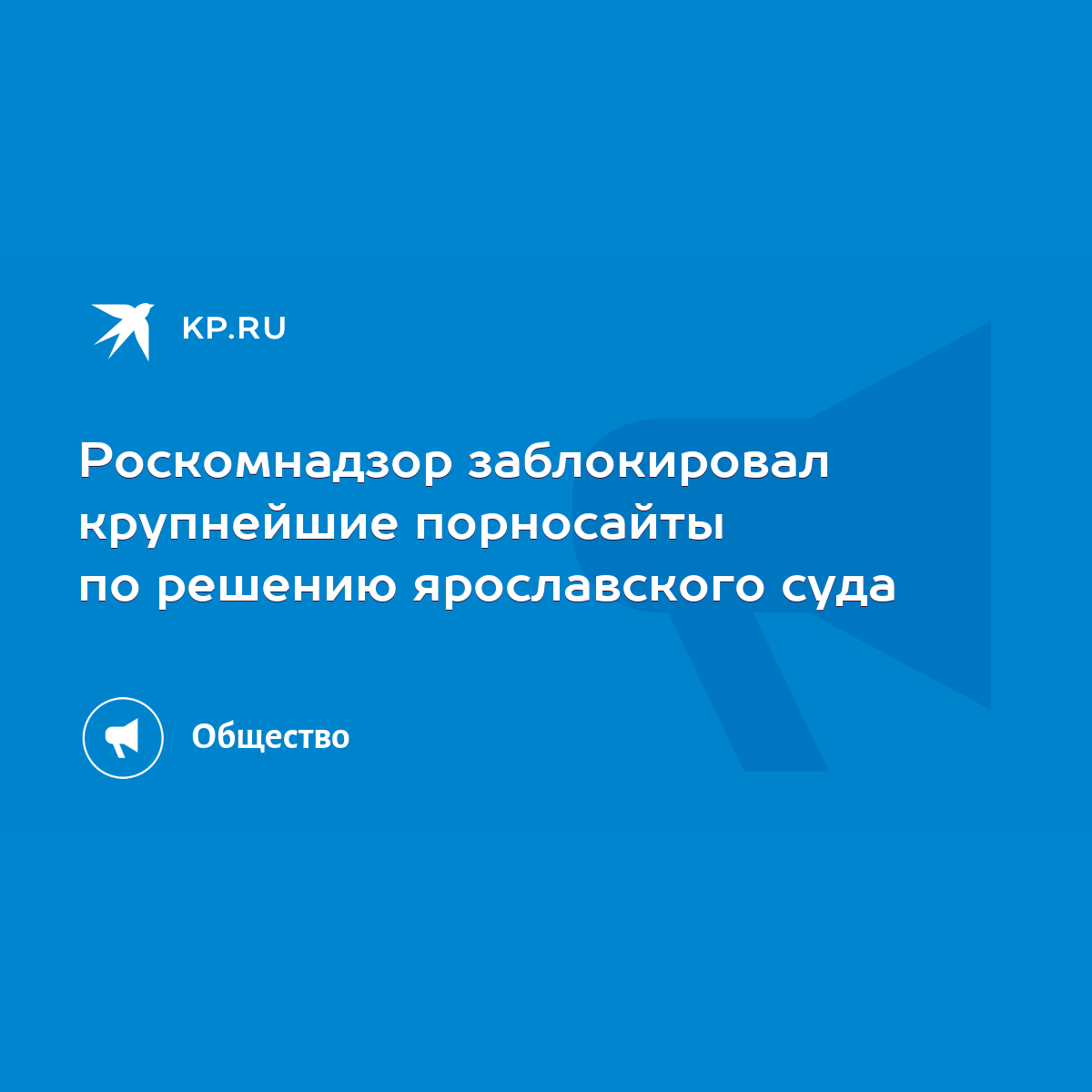 Роскомнадзор заблокировал крупнейшие порносайты по решению ярославского  суда - KP.RU