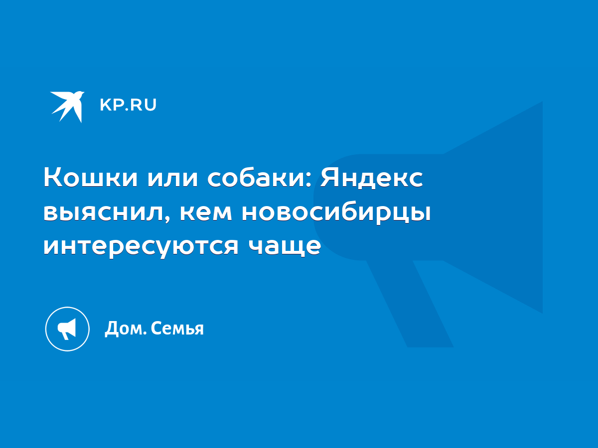 Кошки или собаки: Яндекс выяснил, кем новосибирцы интересуются чаще - KP.RU