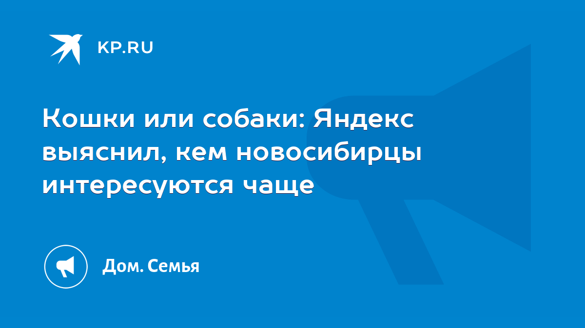 Кошки или собаки: Яндекс выяснил, кем новосибирцы интересуются чаще - KP.RU