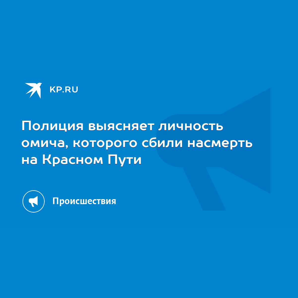 Полиция выясняет личность омича, которого сбили насмерть на Красном Пути -  KP.RU