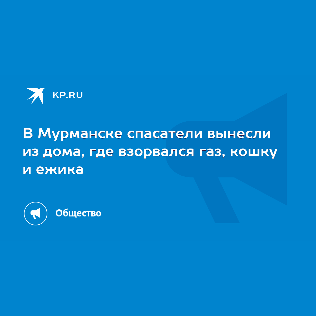 В Мурманске спасатели вынесли из дома, где взорвался газ, кошку и ежика -  KP.RU