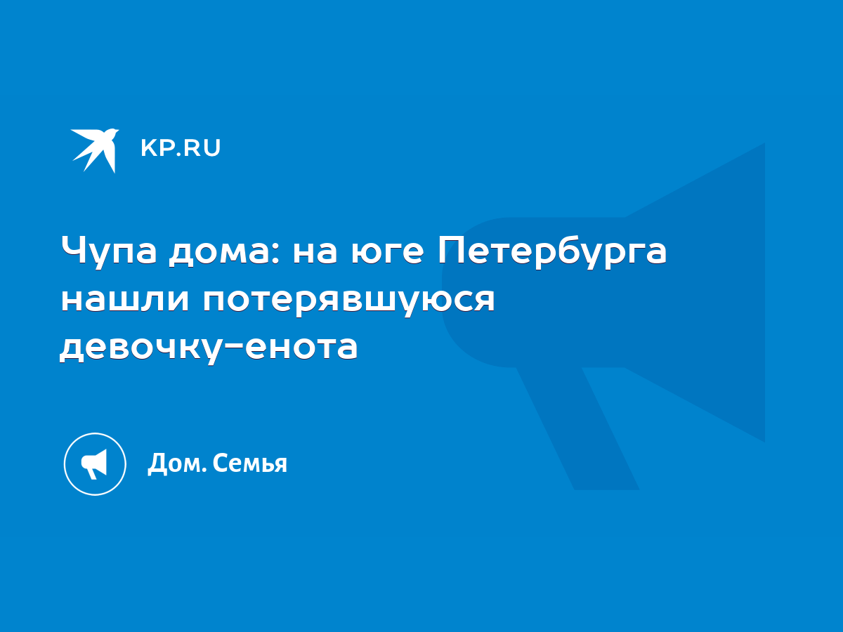 Чупа дома: на юге Петербурга нашли потерявшуюся девочку-енота - KP.RU