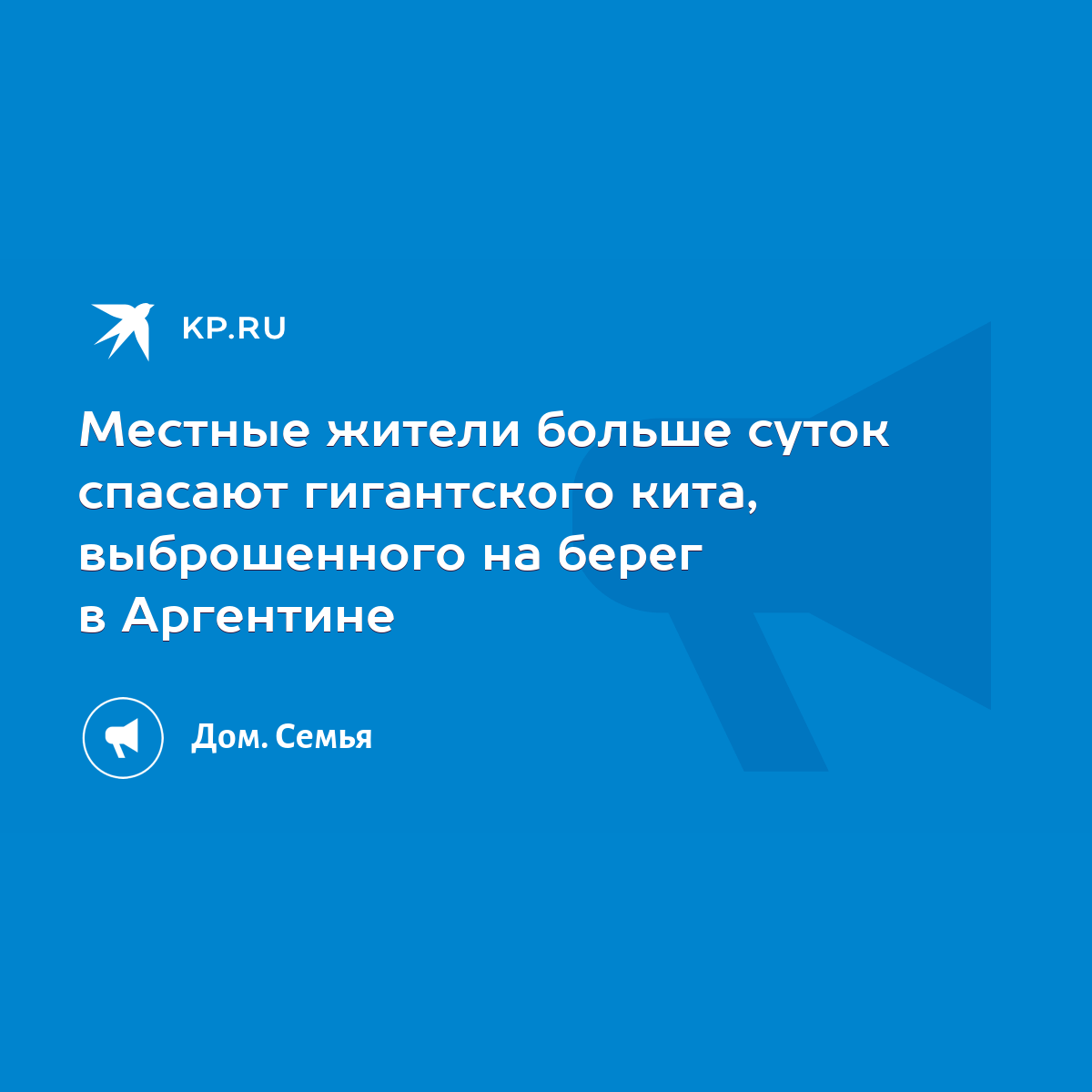 Местные жители больше суток спасают гигантского кита, выброшенного на берег  в Аргентине - KP.RU