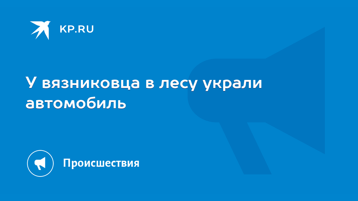 У вязниковца в лесу украли автомобиль - KP.RU